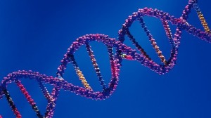 dna
