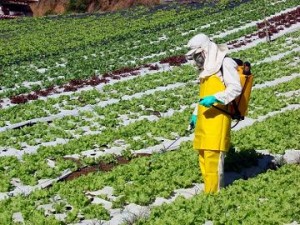 agrotoxico