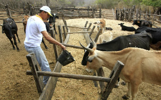 Agropecuaria