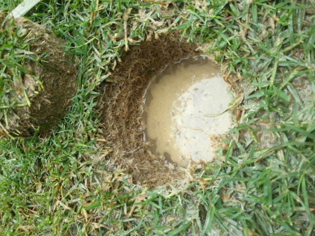 Gramado mineirão - molhado