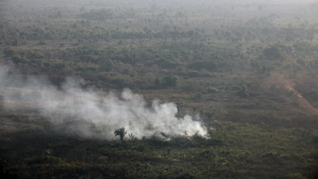 Incêndio na floresta amazônica(Foto: Paulo Whitaker/Reuters/Arquivo)