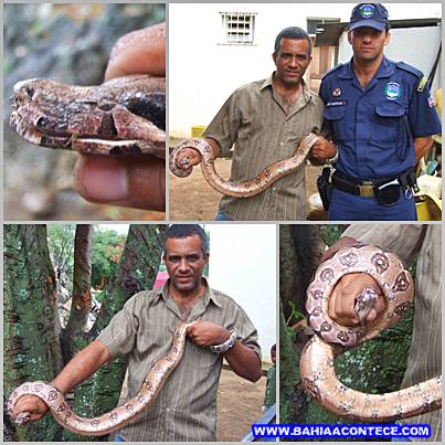 (Fotos: Bahia Acontece)