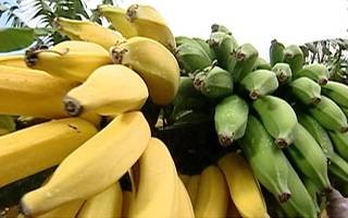 A banana é considerada uma das frutas mais afrodisíacas no cardápio (Foto: Rede Globo)
