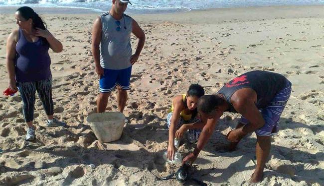 (Foto: Edilson Lima | Ag. A TARDE)