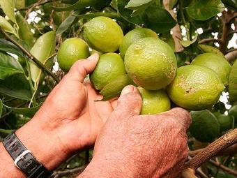 (Foto: Joá Souza | Ag. A TARDE)