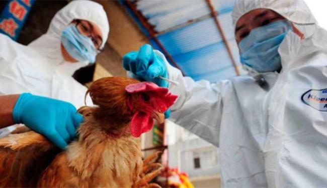 (Foto: Divulgação)