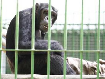 (Foto: Reprodução)