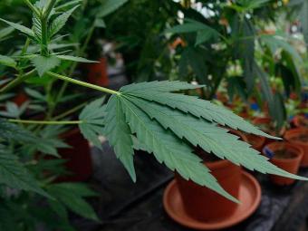 (Foto: Baz Ratner | Agência Reuters)