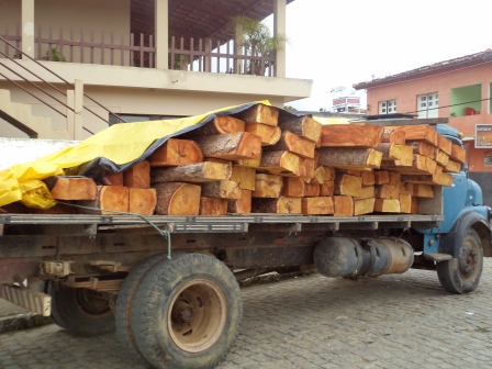 Caminhão com madeira foi apreendido na zona rural de Iguaí (Foto: Iguaí Mix)