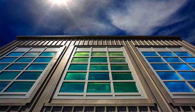 (Foto: Reprodução)