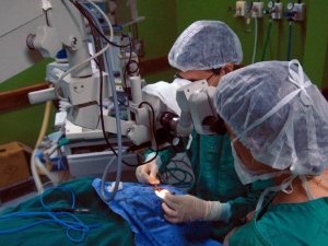 (Foto: Agência Brasil)