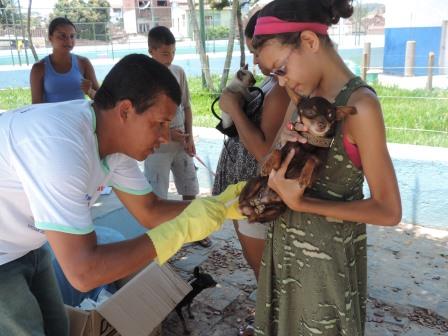 Cães e gatos estão sendo vacinados durante todo o dia (Foto: Iguaí Mix)