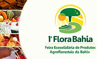 Flora Bahia