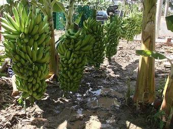 (Foto: Miriam Hermes | Ag. A Tarde)