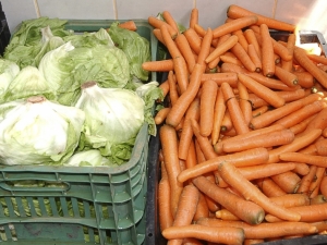 Alimentos
