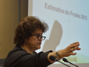 Desmatamento