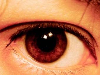 Retina