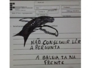 Baleia na Prova