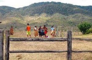 (Foto: Políticos do Sul da Bahia)