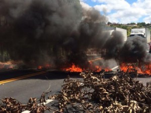 (Foto: PRF / Divulgação)