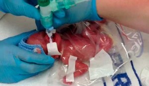 (Foto: SW / The Grosby Group)