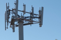 (Foto: Reprodução Internet)