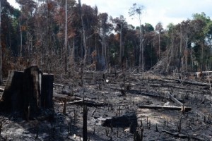 (Foto: Arquivo/Agência Brasil)