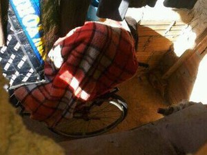 (Foto: Divulgação/ Polícia Militar)