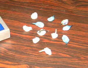 (Foto: Divulgação)