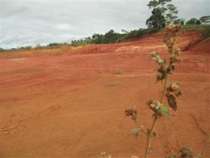 Local onde será construído o frigorífico (Foto: Iguaí Mix)