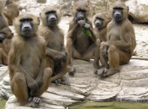 (Foto: Ilustração / EFE)