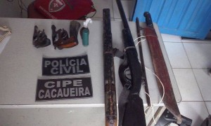 Armas apreendidas durante a operação  (Foto: Polícia Civil/BA)