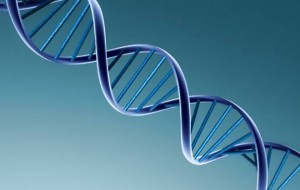 (Foto: Divulgação)