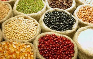 (Foto: Reprodução Internet)