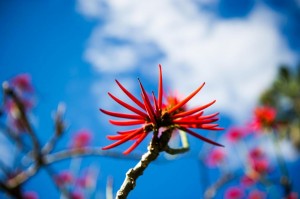 (Foto: Marcelo Oliveira, Agência RBS)