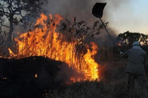 (Foto: Arquivo/Valter Campanato/Agência Brasil)