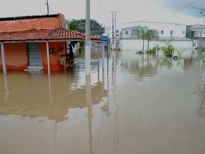 Segundo prefeito, 680 famílias ficaram desabrigadas (Foto: Ispedito Nunes de Oliveira)