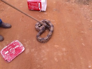 (Foto: Blog Jorge Amorim)