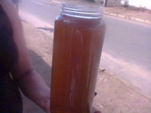 (Foto: Reprodução)