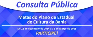 consulta-pública