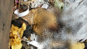 (Foto: Blog do Geraldo José)