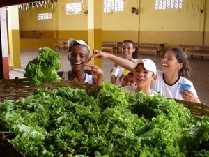 (Foto: Arquivo/ FASE)