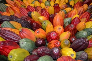 (Foto: Divulgação)