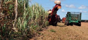 (Foto: Agência Brasil)