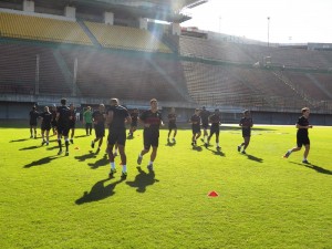 (Foto: Divulgação / FBF)