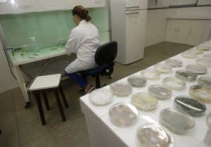 Bahia tem laboratório referência em pesquisa agropecuária (Foto: Elói Corrêa/GOVBA)