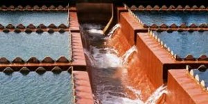 (Foto: Divulgação)