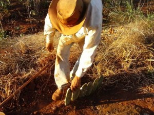 (Foto: Divulgação)