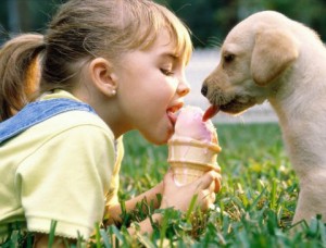 (Foto: Reprodução)