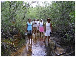 Comunidade Quilombola do Guaí (Foto: Inlustração)